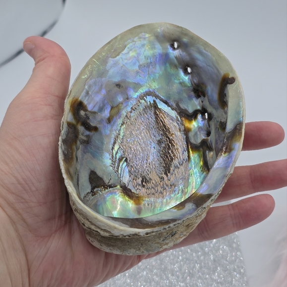 Rainbow Abalone Shell Smudging Bowl Incense Holder & Crystal Trinket Bowl - Picture 4 of 7